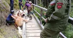 1_tierrettung_kelchsau_20200817_01.jpg