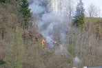 1_waldbrand_hopfgarten_20200412_5.jpg