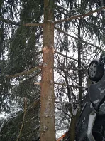 20220402_vu_kirchberg_5.jpg