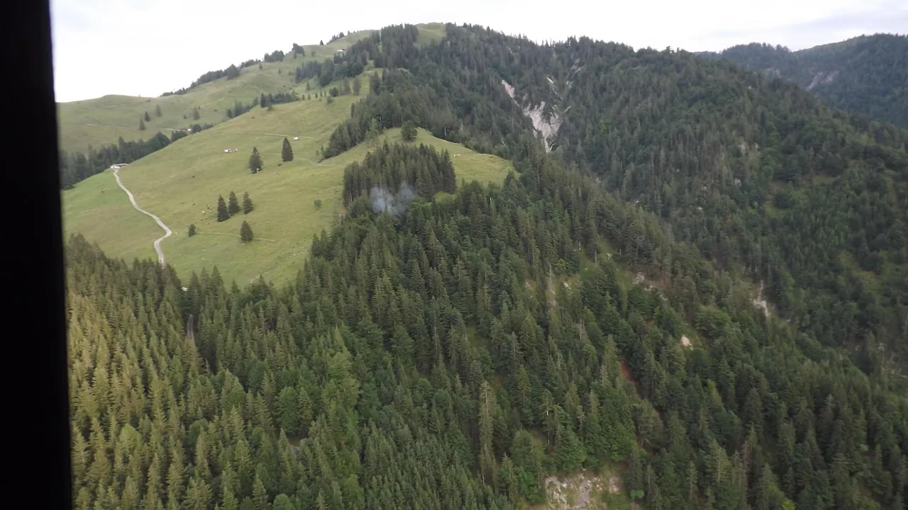 20230720_waldbrand_erpfendorf_1.jpg