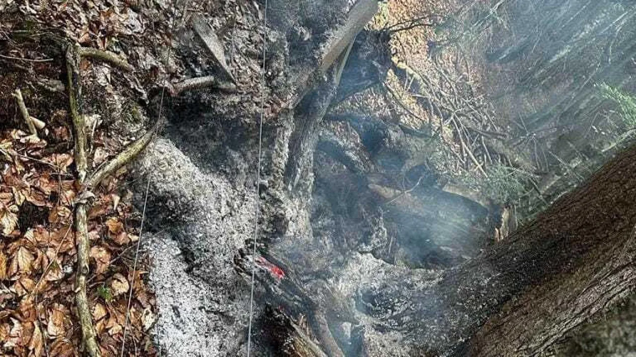 20230720_waldbrand_erpfendorf_5_1.jpg