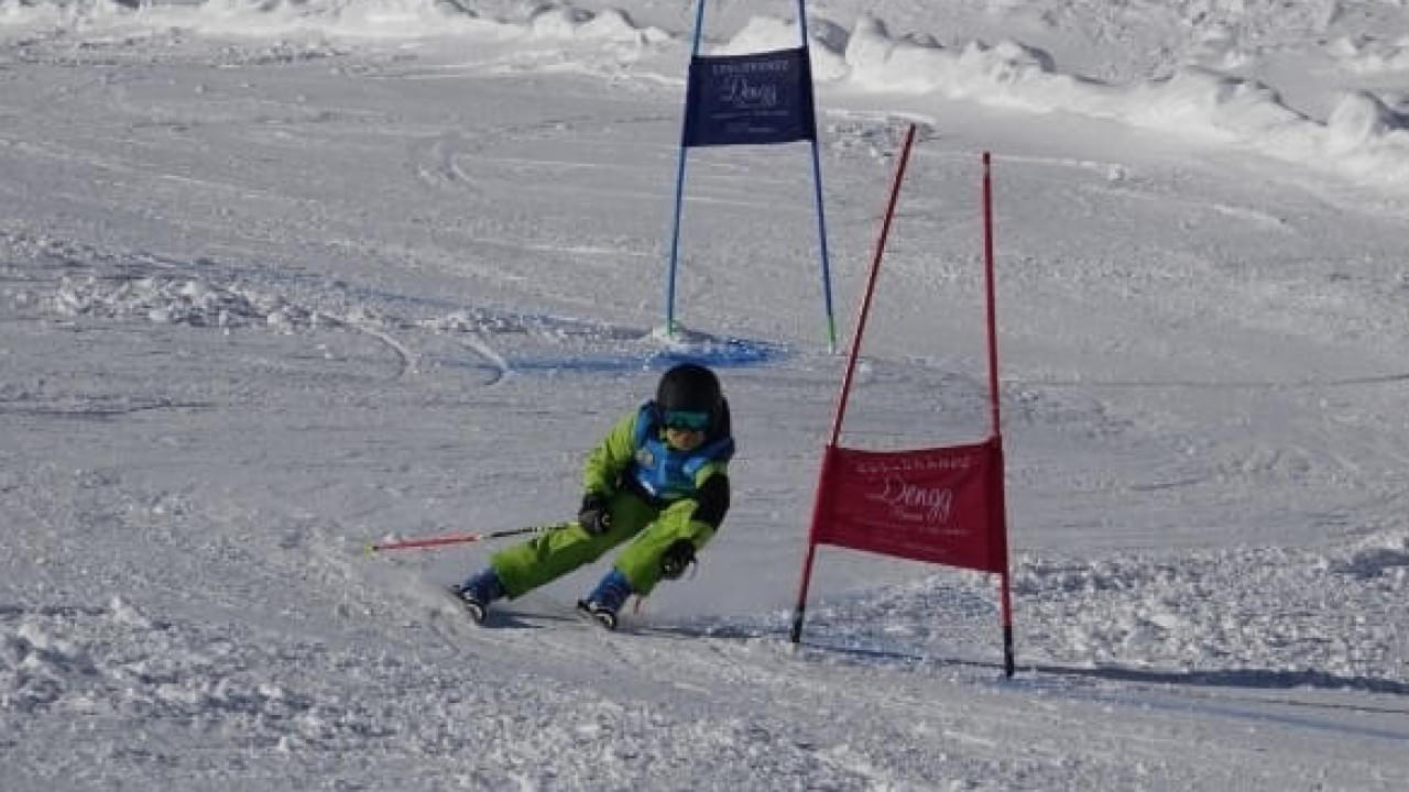 FW-Landes-Skimeisterschaft