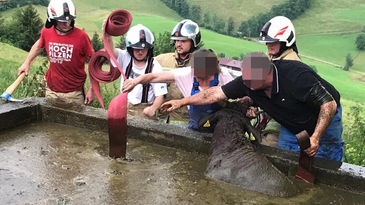 tierrettung_kirchdorf_20200721_1.jpg