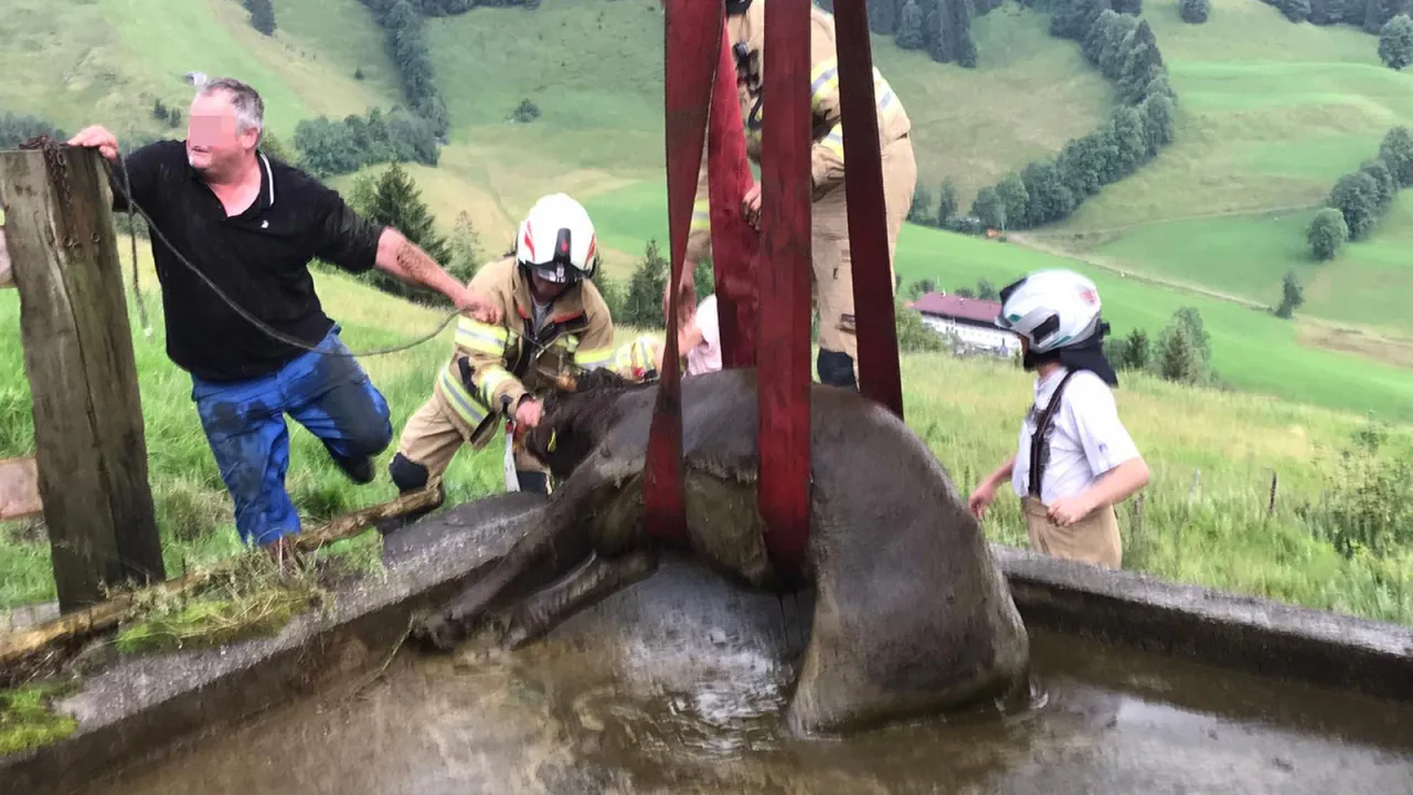 tierrettung_kirchdorf_20200721_5.jpg