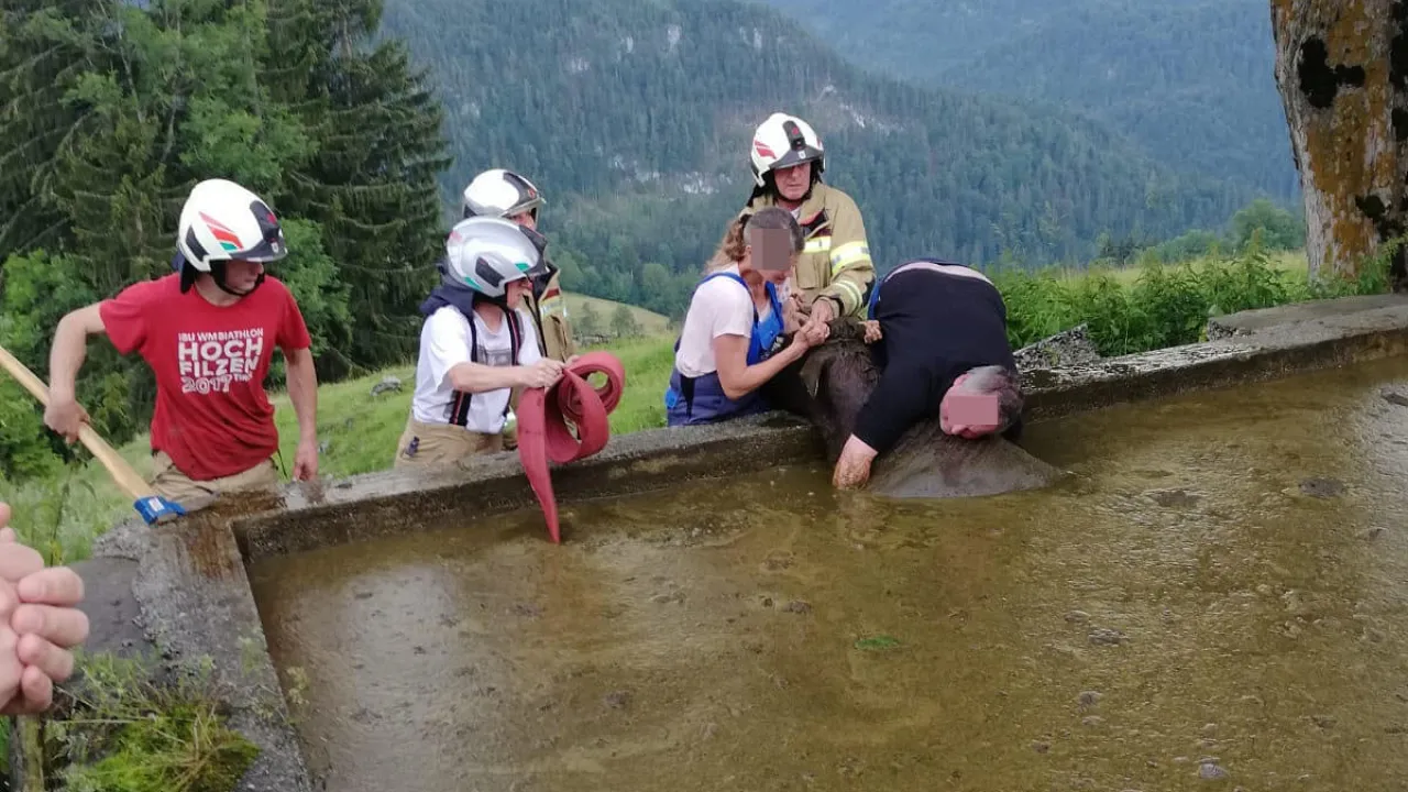 tierrettung_kirchdorf_20200721_6.jpg
