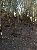 waldbrand_hopfgarten_20200412_2.jpg