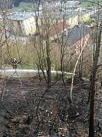 waldbrand_hopfgarten_20200412_8.jpg