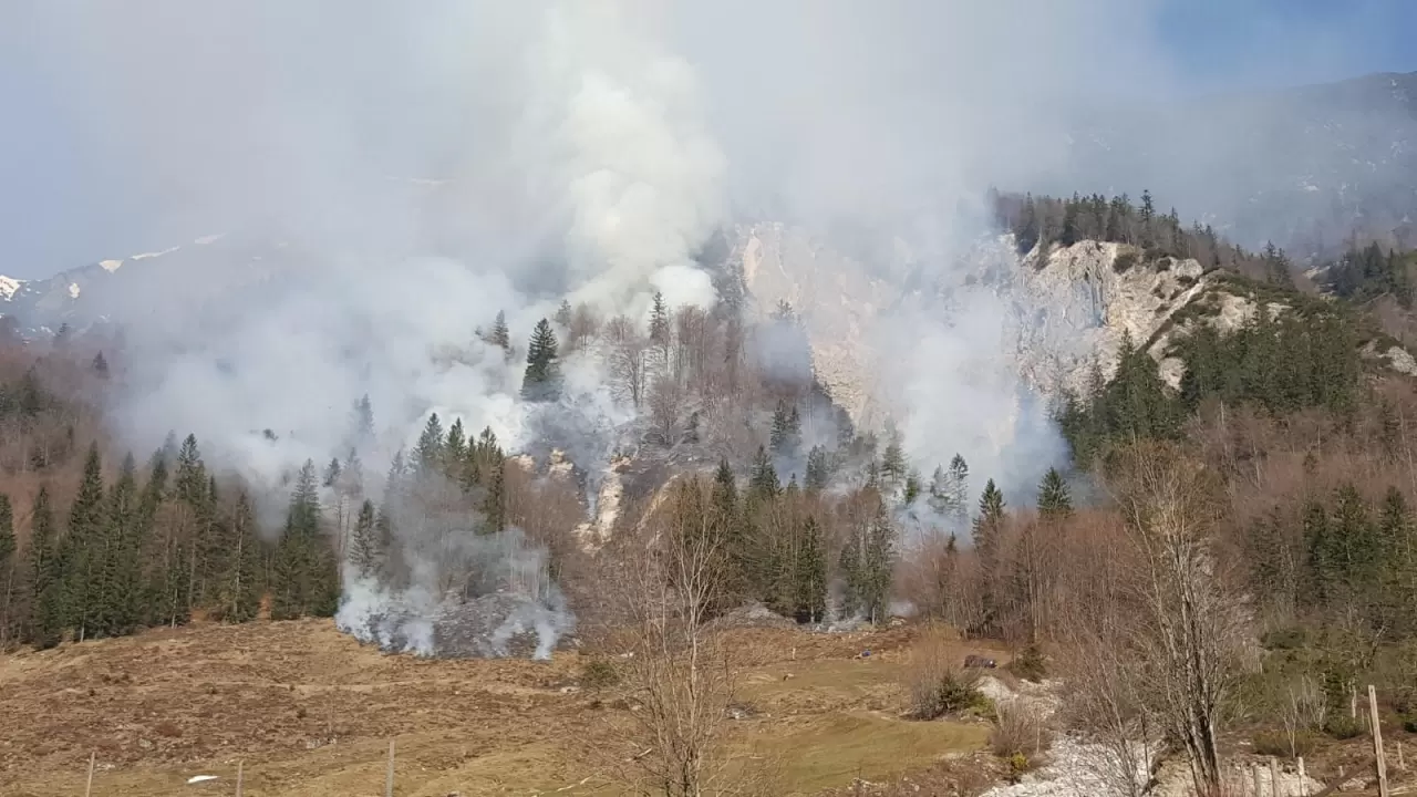 waldbrand_kirchdorf_20200407_2.jpg