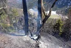 waldbrand_kirchdorf_20200407_5.jpg