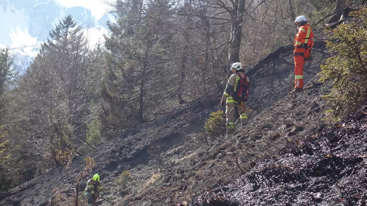 waldbrand_kirchdorf_20200407_6.jpg