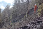 waldbrand_kirchdorf_20200407_6.jpg