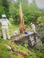 1_tierrettung_jochberg_3.jpg