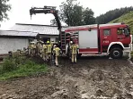 1_tierrettung_kirchdorf_20200721_4.jpg