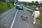 1_vu_kitz_20200507_3.jpg