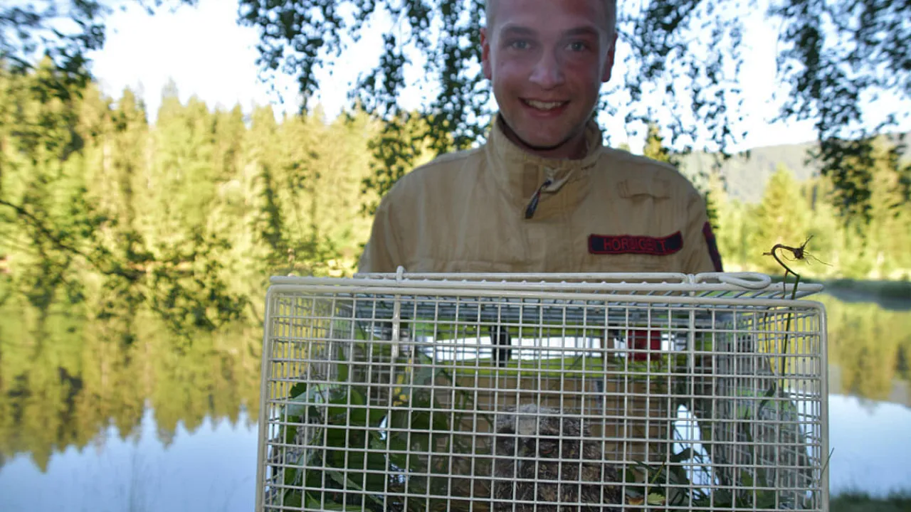 20210614_tierrettung_kitz_6.jpg