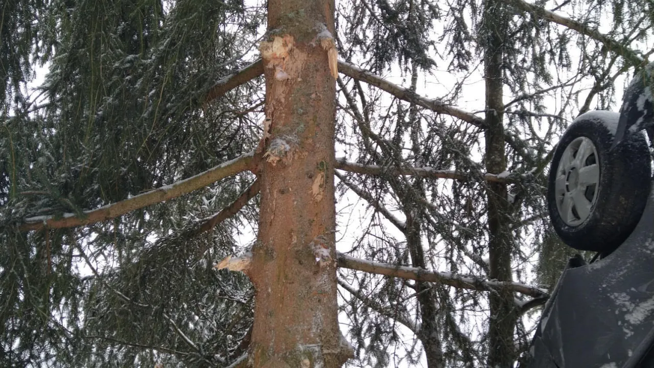 20220402_vu_kirchberg_5.jpg