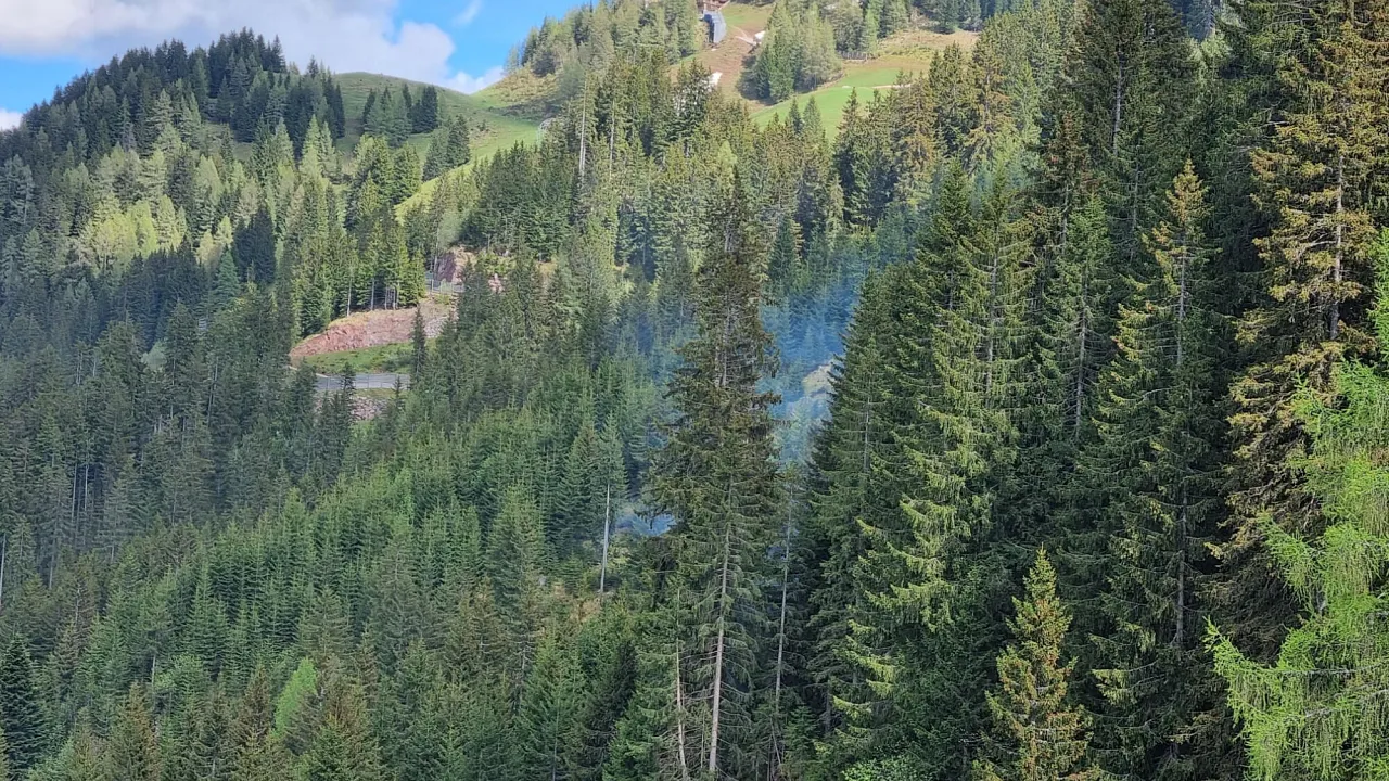 20220517_waldbrand_kirchberg_1.jpg