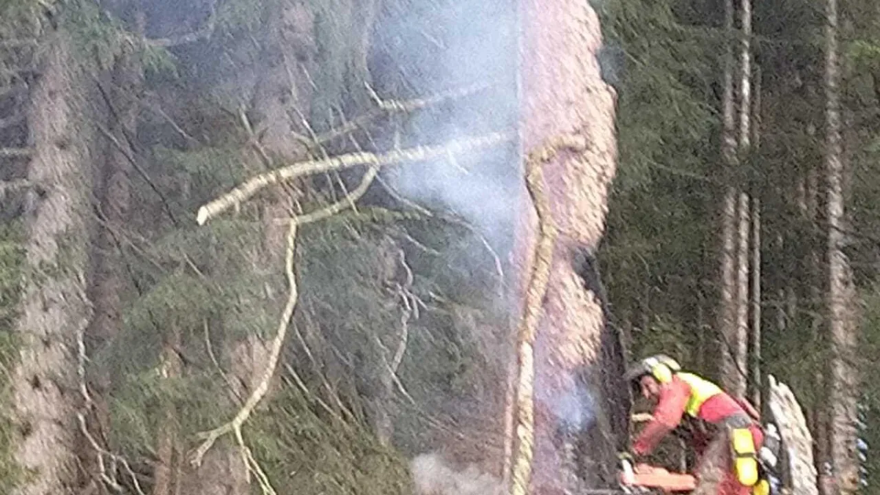 20220517_waldbrand_kirchberg_10.jpg