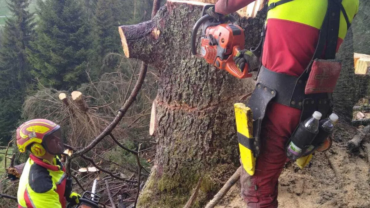 20220517_waldbrand_kirchberg_11.jpg