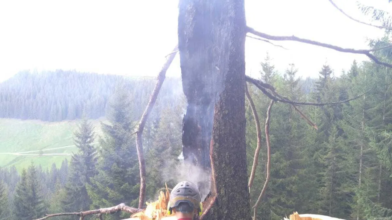 20220517_waldbrand_kirchberg_12.jpg