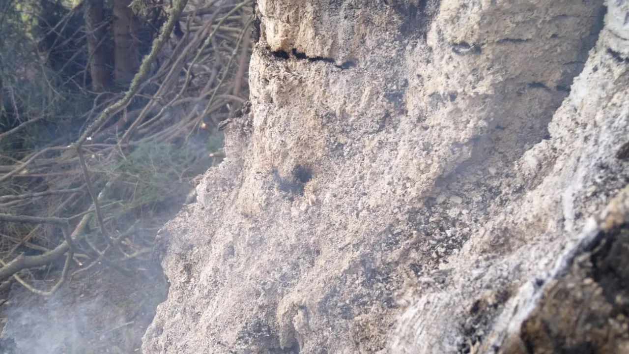 20220517_waldbrand_kirchberg_13.jpg