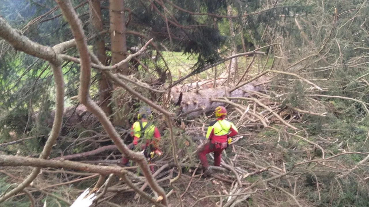 20220517_waldbrand_kirchberg_18.jpg