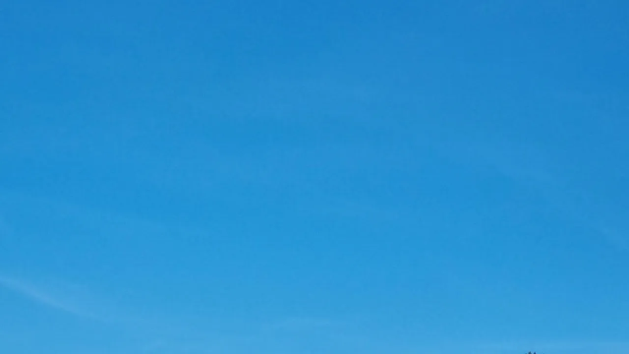 20220517_waldbrand_kirchberg_4.jpg