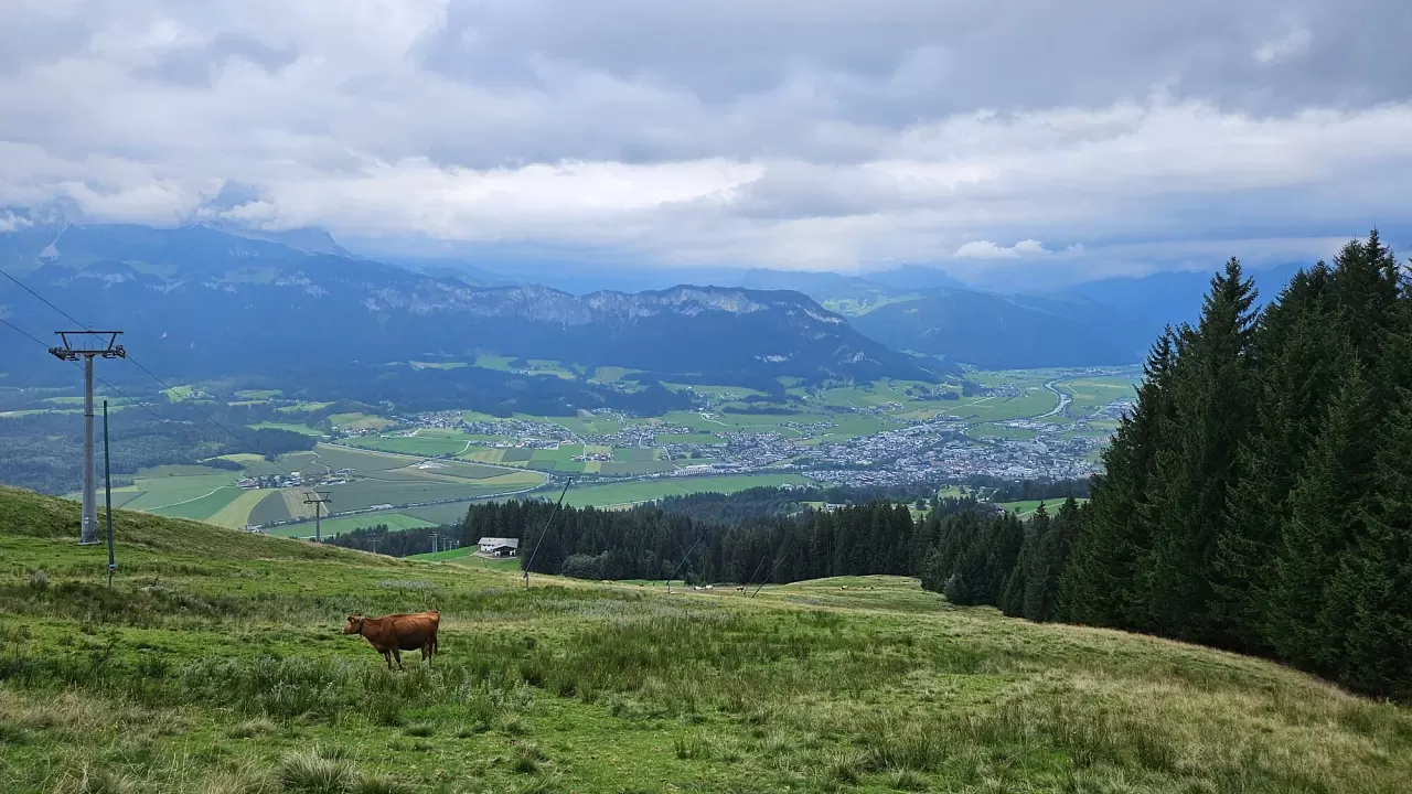 20240825_wandertag_bfv_8.jpg