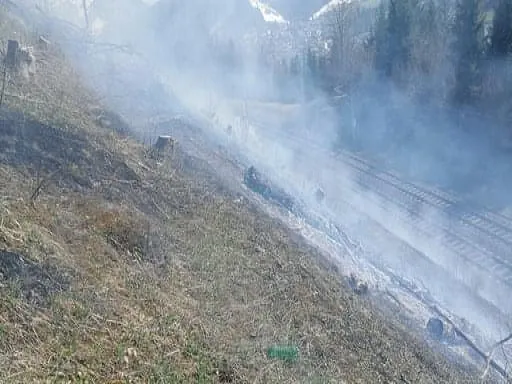 brand_bahndamm_fieber_3.jpg