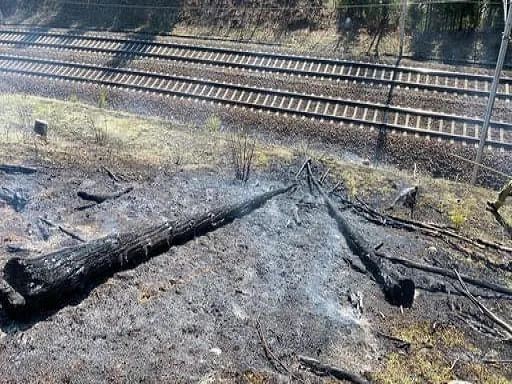 brand_bahndamm_fieber_4.jpg