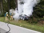 brand_tesla_kssen_20191004_12.jpg
