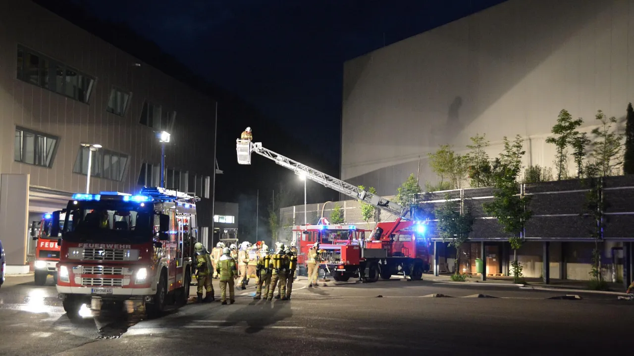 branderpfendorf8.jpg