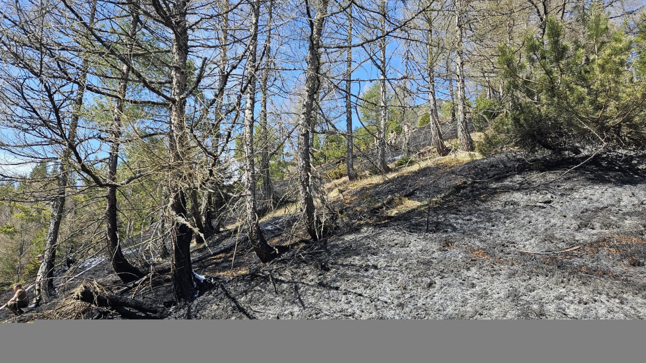 Brand-Wiese-Hochfilzen