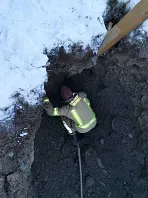 hund_kirchberg_4.jpg