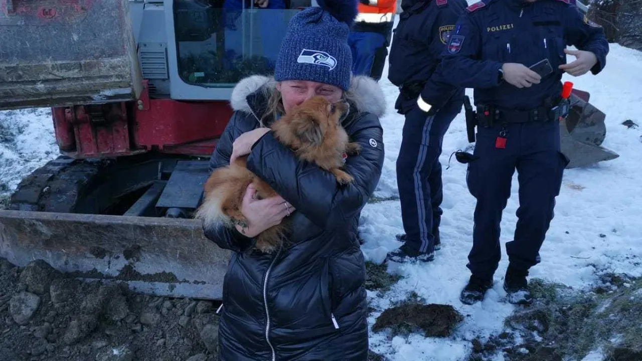hund_kirchberg_6.jpg