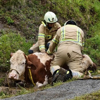 Tierrettung-in-Kitzbuehel