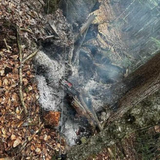 Waldbrand-in-Erpfendorf