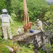 Tierrettung-in-Jochberg