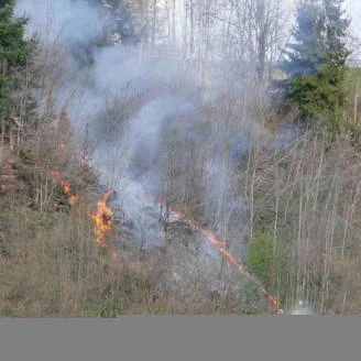 Waldbrand-in-Hopfgarten