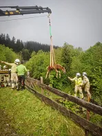 tierrettung_jochberg_4.jpg