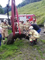 tierrettung_kirchdorf_20200721_3.jpg