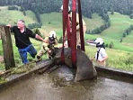 tierrettung_kirchdorf_20200721_5.jpg